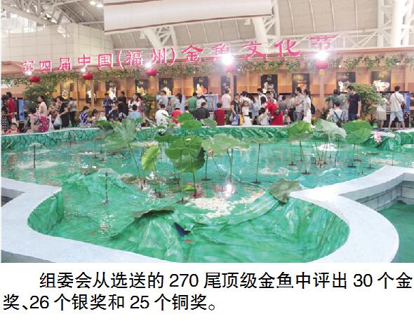 “每年都逛渔博会，   330斤的巨型石斑鱼“鱼体横陈”，宽达90厘米的“超级海
