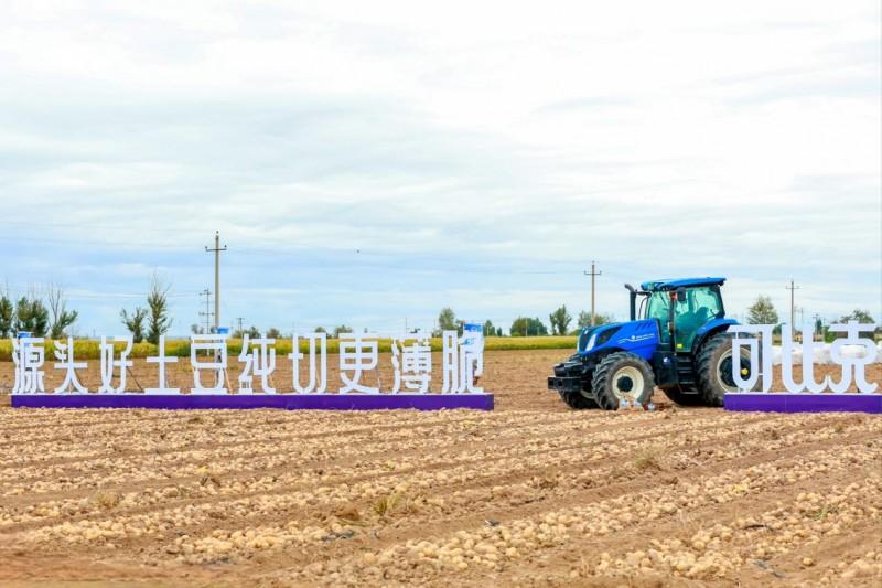 祁连山下话“秋收” 可比克全产业链筑牢国民薯片品质根基